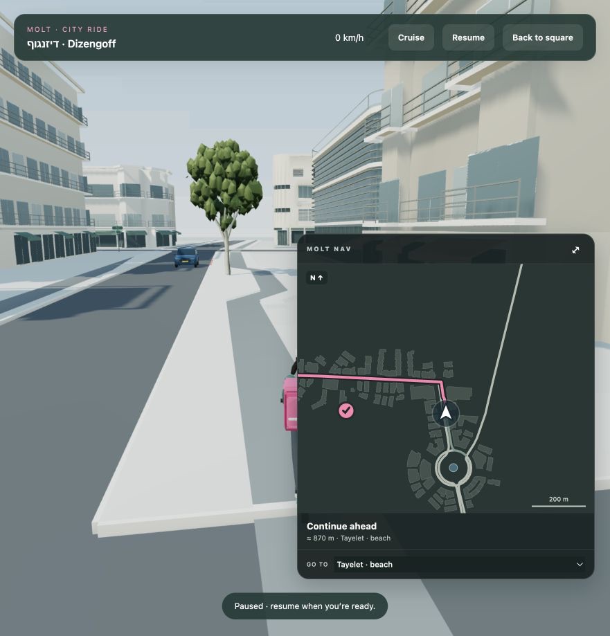 The in-game navigation map